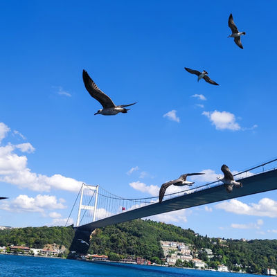 Istanbul, Turchia